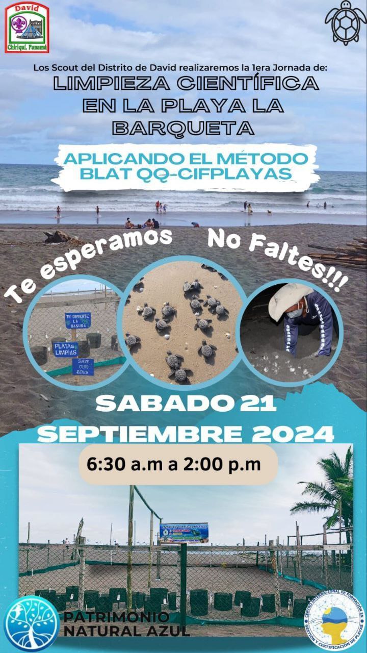 IMG_20240919_204348_551